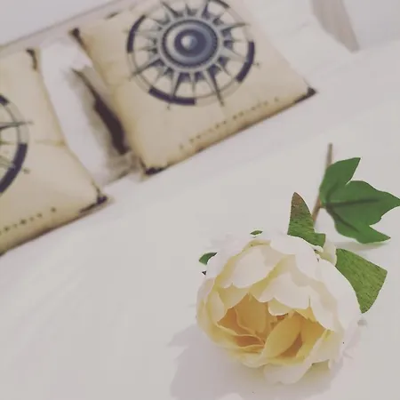 Tria Nera House- Pure Joy * Navodari
