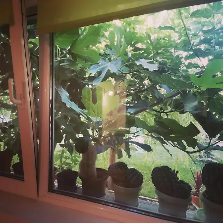 Konukevi Tria Nera House- Pure Joy