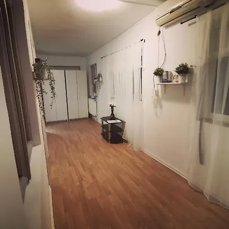 Tria Nera House- Pure Joy *
